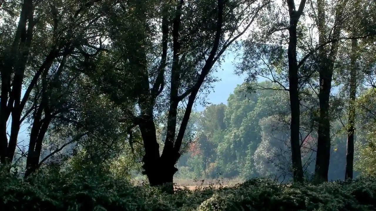 美女阴沟图片城市角落的独特风景线